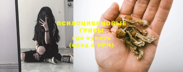 спайс Лагань