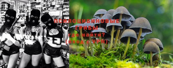 прущая мука Лабытнанги