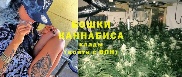 спайс Лагань